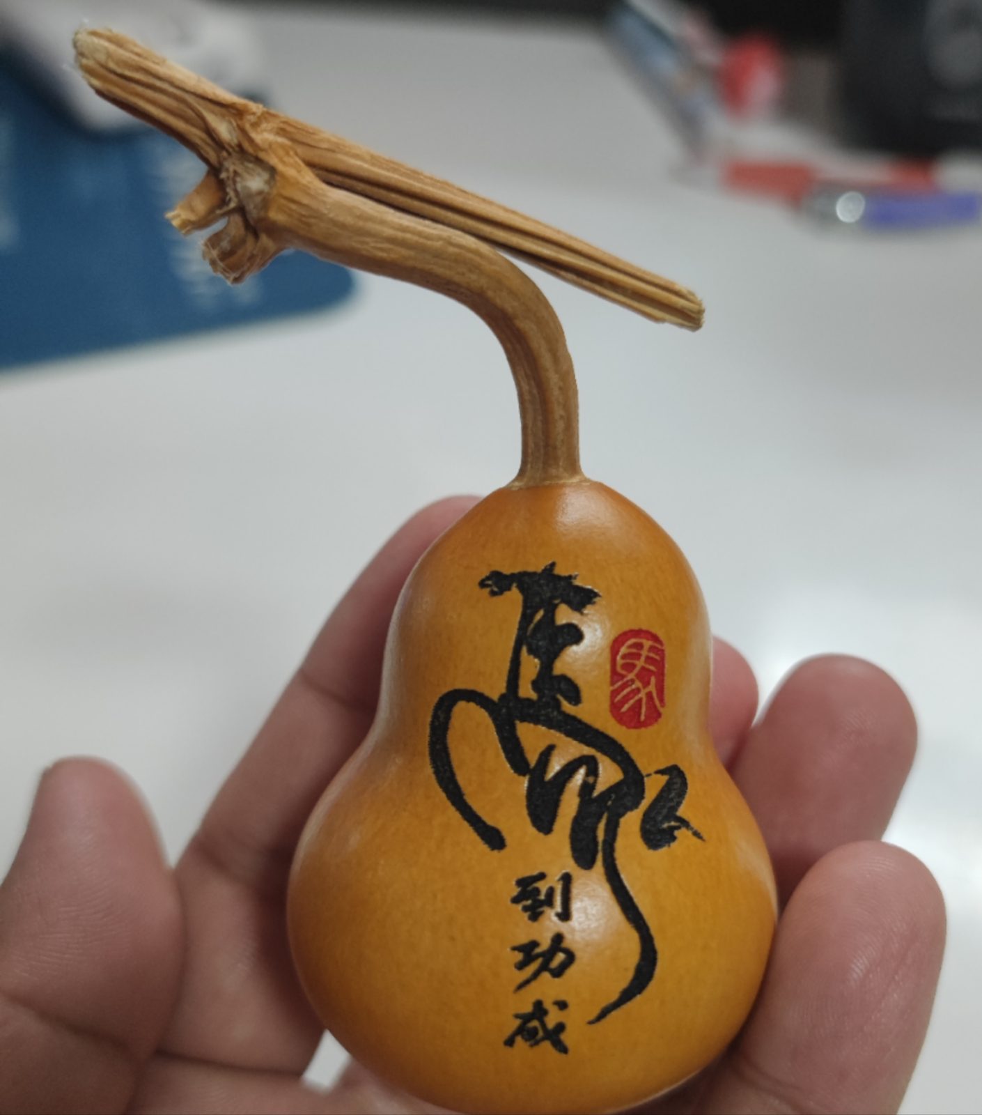 马到成功
